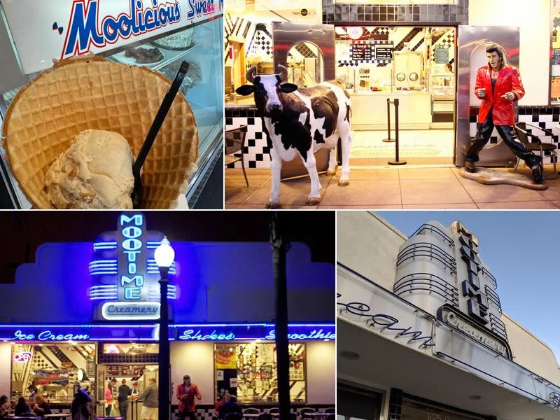 MooTime Creamery business photo