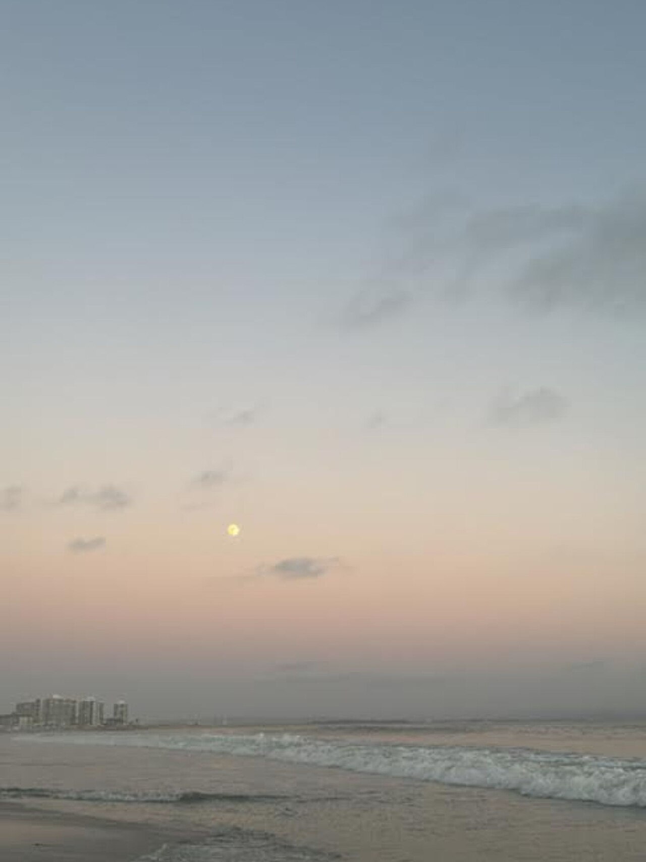Corbeach024